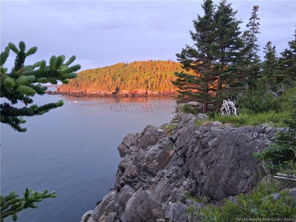 Property Photo:  244 Fundy Drive  NB E5E 1X2 