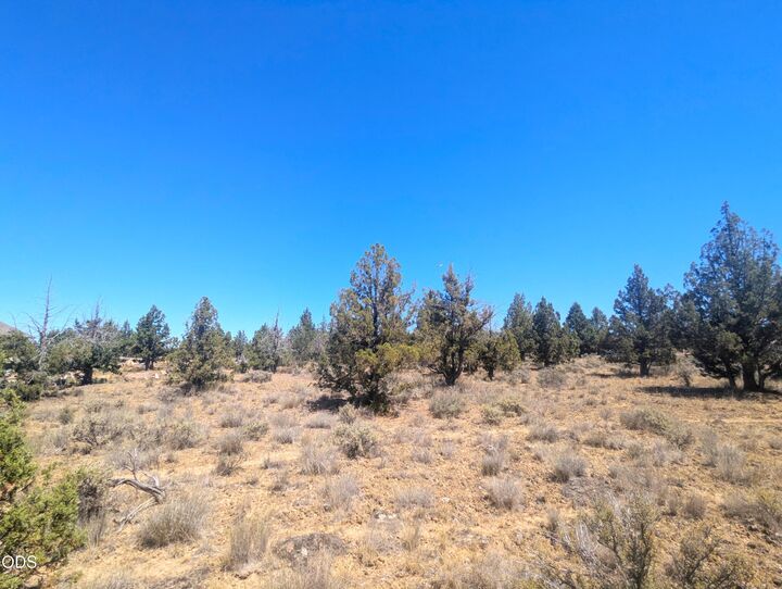Property Photo: 3152 SE Pilot Drive OR 97754