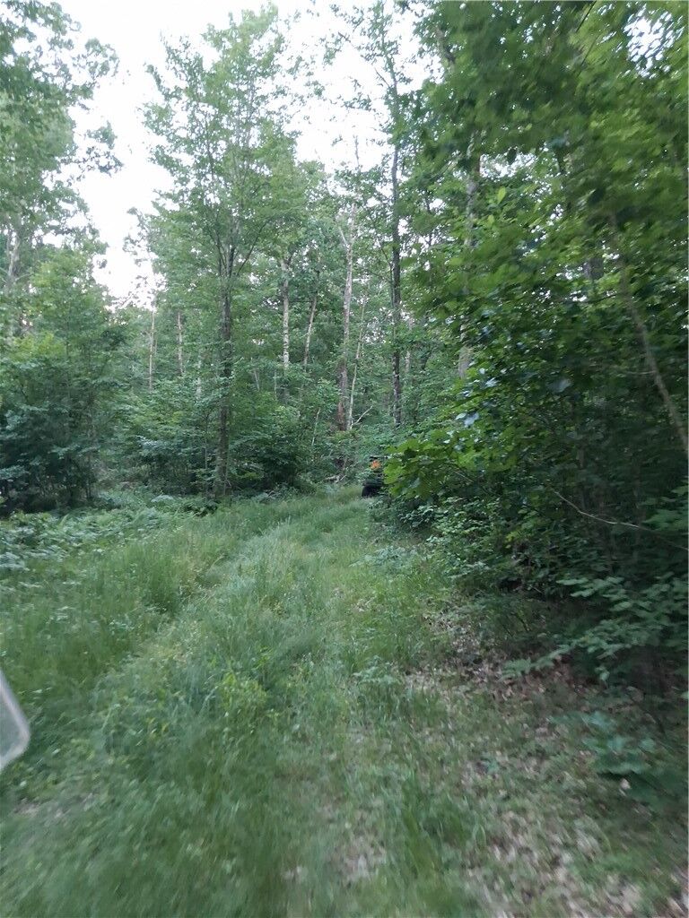 Property Photo: 11683 A NY 14801