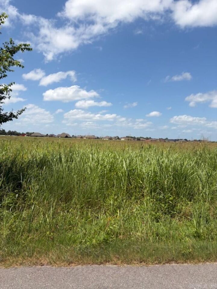 Property Photo: Lot 3 Upper Steel Bend Road AR 72142
