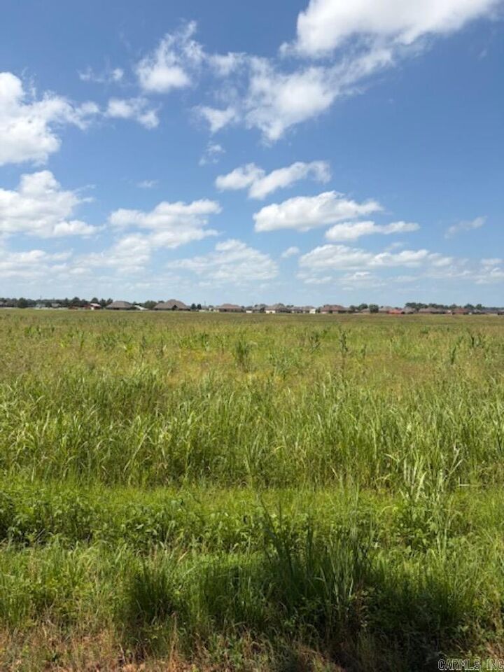 Property Photo: Lot 5 Upper Steel Bend Road AR 72142