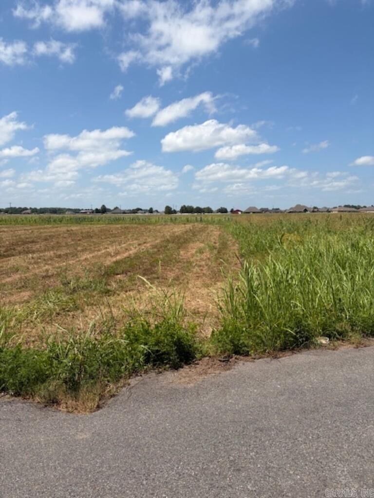 Property Photo: Lot 6 Upper Steel Bend Road AR 72142