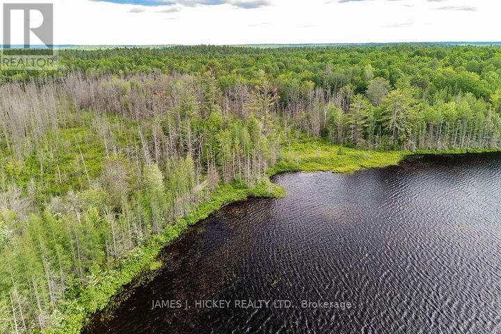 Property Photo:  299 Ko Lodge Trail Road  ON K0J 1P0 