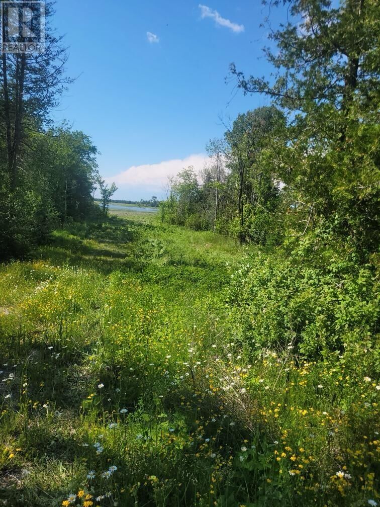 Property Photo:  2440 Highway 540  ON P0P 1K0 
