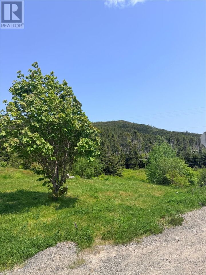 Property Photo:  3 Main Road  NL A0L 1T0 