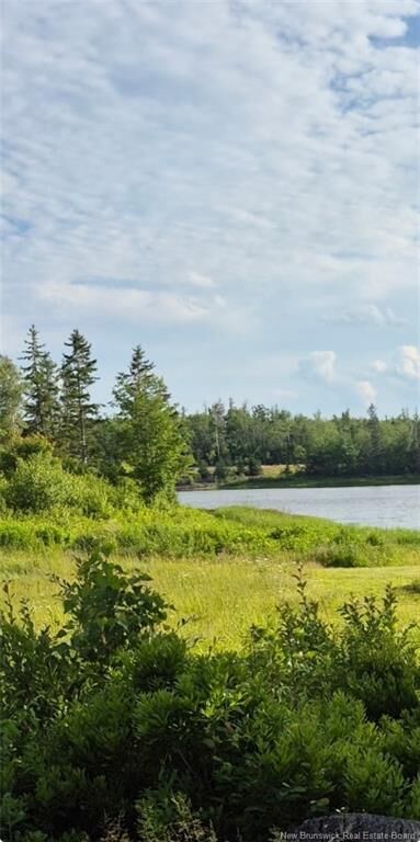 Property Photo:  Lot Raymel Road  NB E4P 0N7 