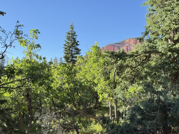 Property Photo:  A 4 Wonderland Vista  UT 84762 