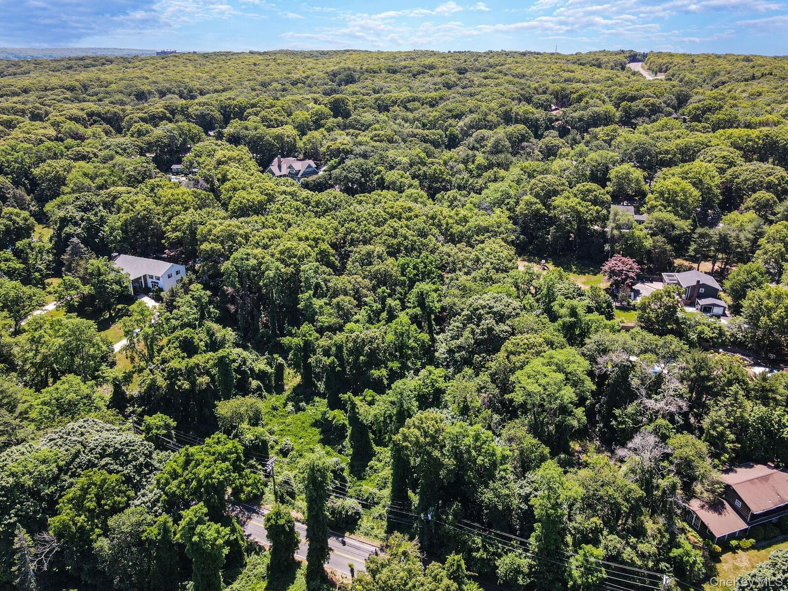 Property Photo:  Sunken Meadow Road  NY 11768 