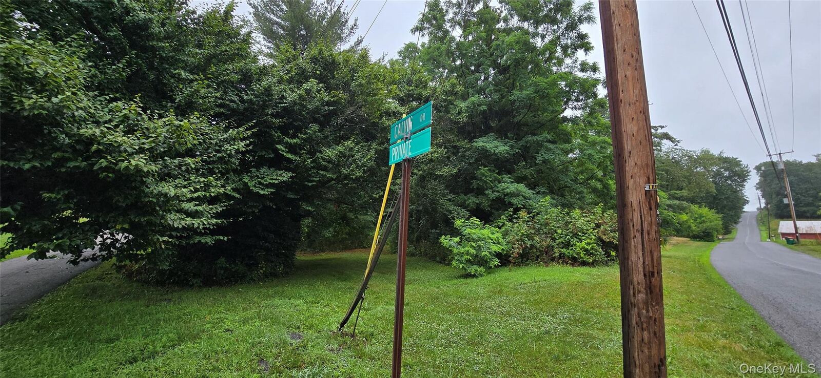 Property Photo: # Calvin Drive NY 12542