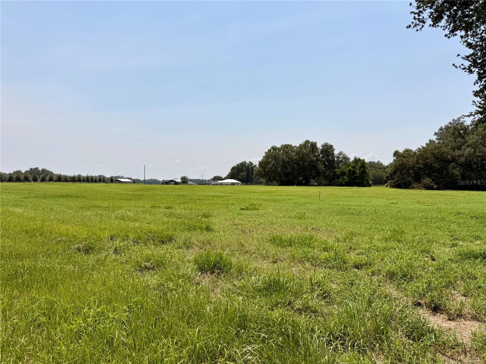 Property Photo:  Parcel 6 Cr 708  FL 33514 