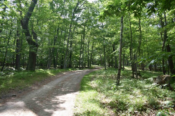 Property Photo: Tbd Ll.5 Ln Beach MI 49864