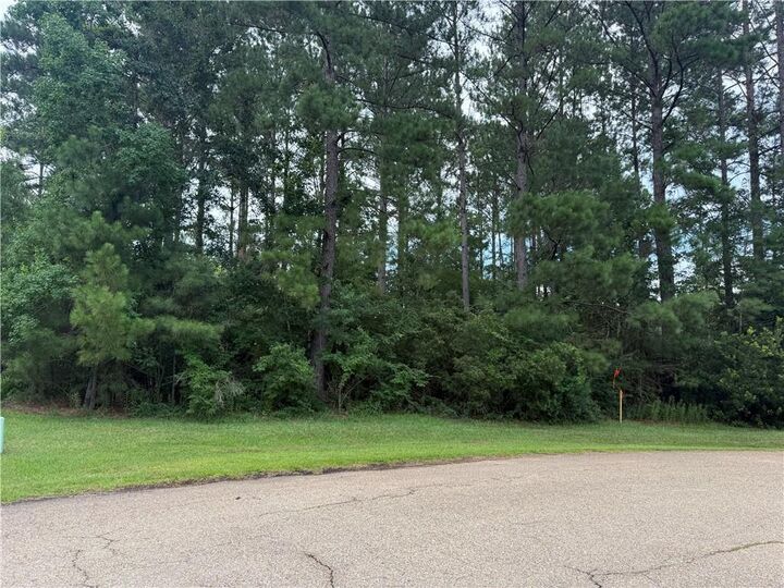 Property Photo: 320 Beebalm Circle LA 70435