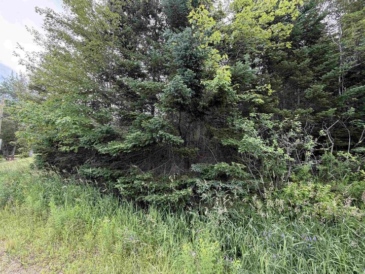 Property Photo:  Lot 14 Highway 2  NS B0N 2J0 