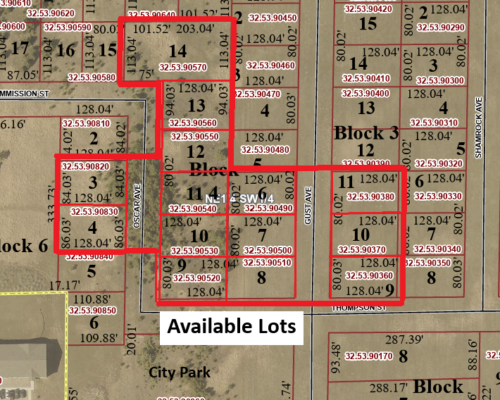 Property Photo: Tbd Lot 6 Gust Avenue MN 56470