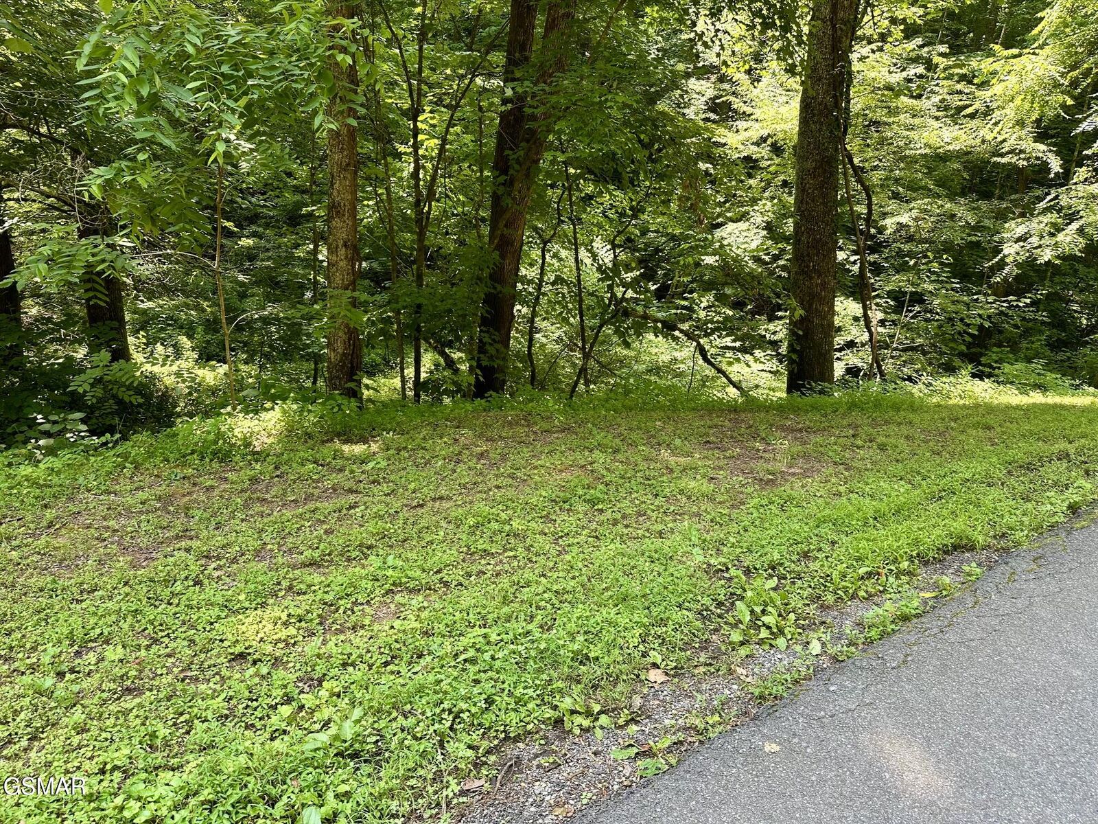 Property Photo:  Lot 706A School House Gap Road  TN 37876 