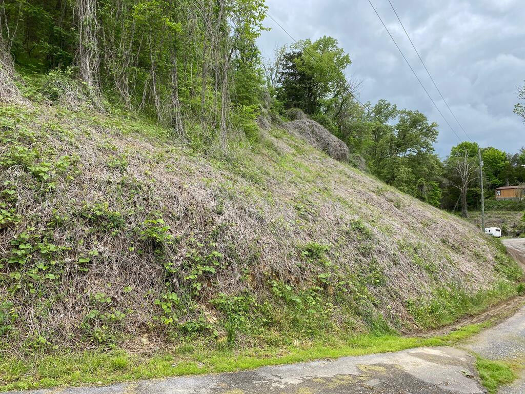 Property Photo:  Lot 3 Coveside Way  TN 37876 