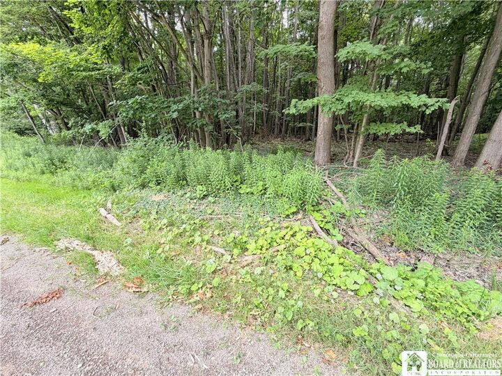Property Photo:  00 Panama-Stedman Road  NY 14757 