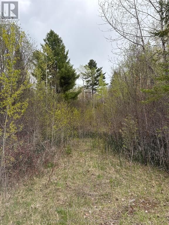 Property Photo:  2035 Ventnor Road  ON K0E 1X0 