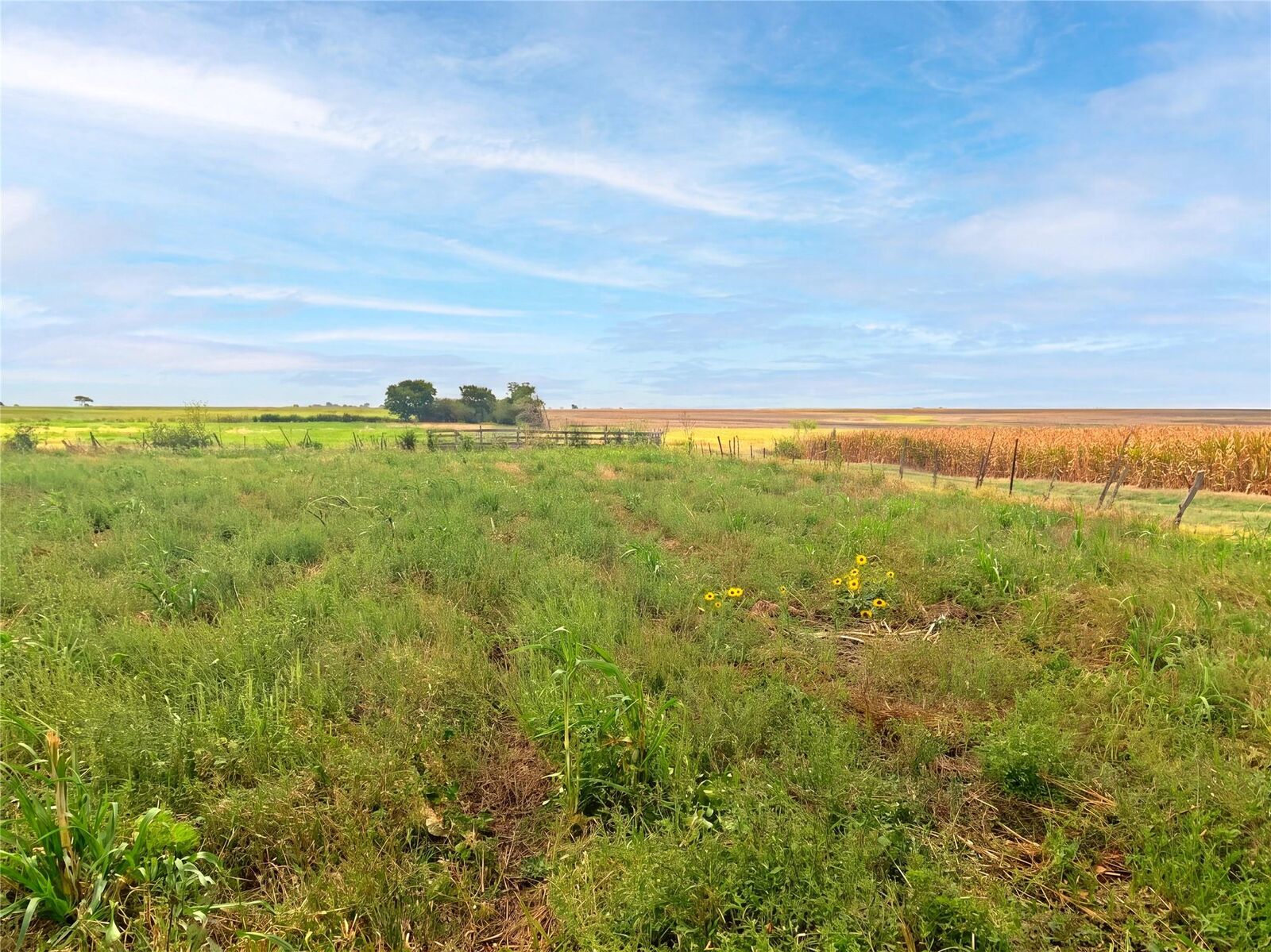Property Photo: 3000 County Road 352 TX 76511