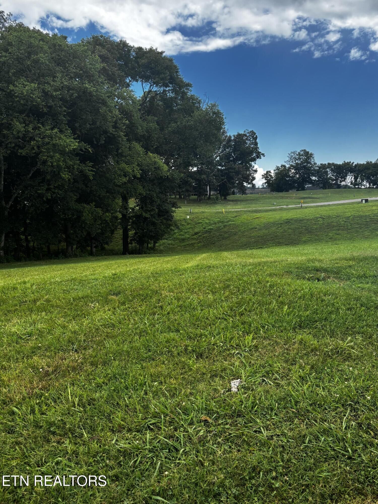 Property Photo:  3964 Persimmon Ridge  TN 37774 