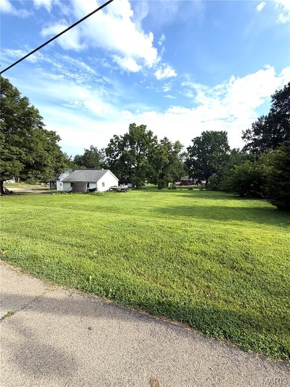 Property Photo:  811 Andrews Street  MO 63645 