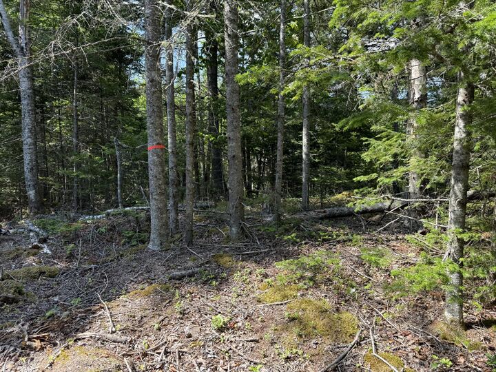 Property Photo:  M6l21 Great Cove Road  ME 04654 