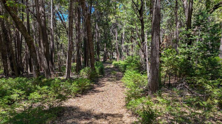 Property Photo: 12479 Tesla Place CA 95959
