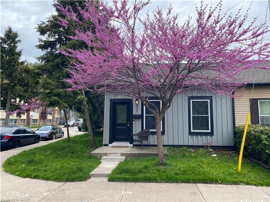 Property Photo:  246 Forest Avenue  ON L8N 1Y1 