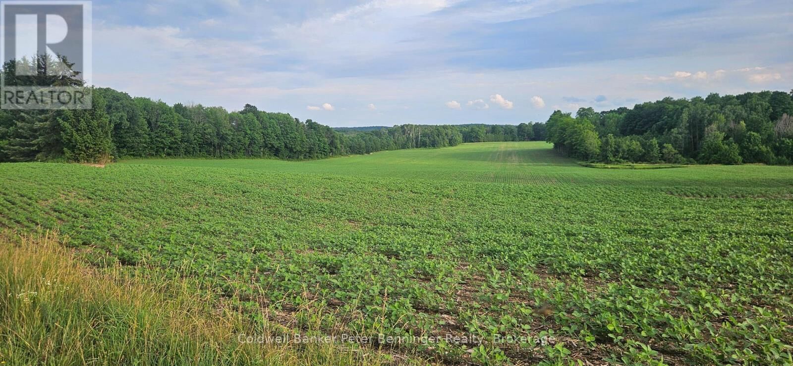 Property Photo: 521268 Concession 12 North ON N0G 1S0