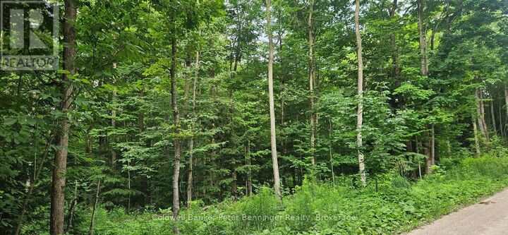 Property Photo:  Lot 6 Concession 12 Ndr Bentinck  ON N0G 1S0 