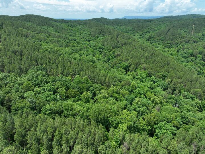 Property Photo:  0 Pearl Johnson Road  GA 30734 