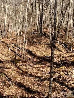 Property Photo: 1873 Unahala Creek Road NC 28713