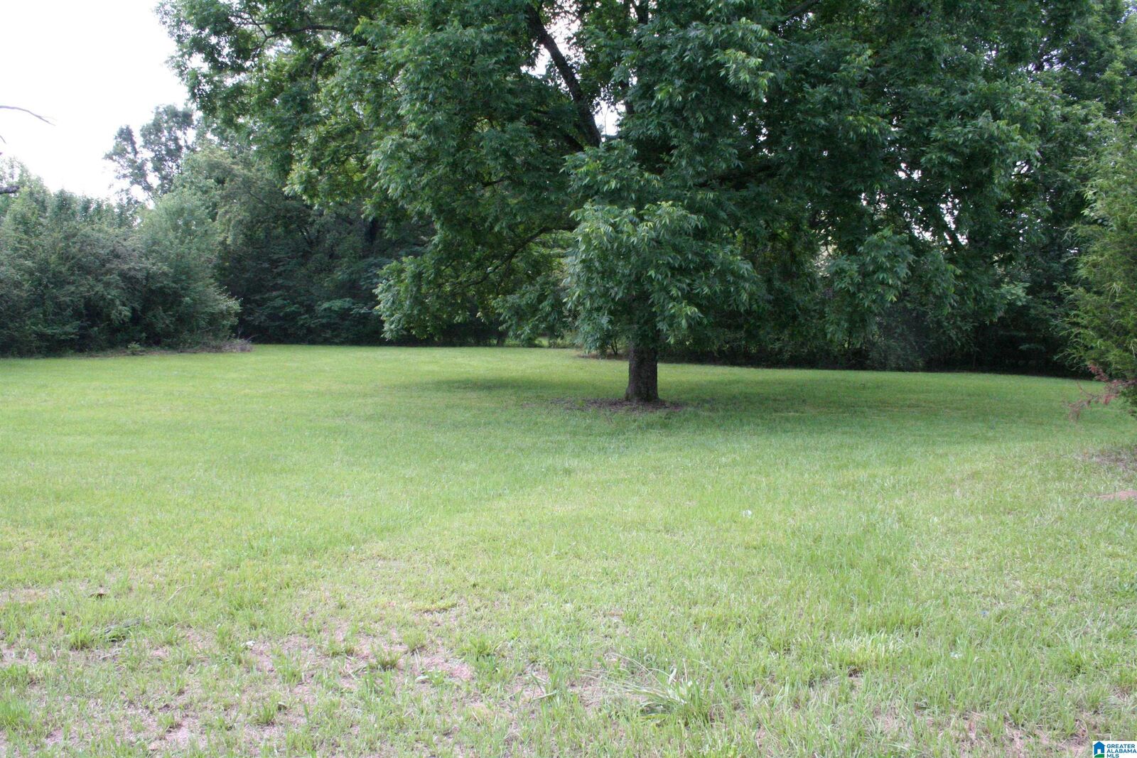 Property Photo:  6096 Warrior River Road 1  AL 35023 