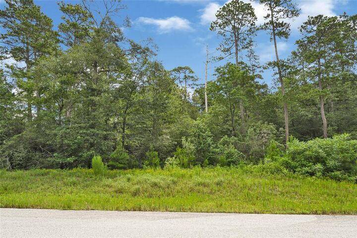 Property Photo:  177 Brahman Lane  TX 77340 