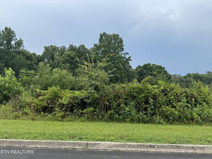 Property Photo:  0 Evergreen Cove Lot 4 St  TN 37763 
