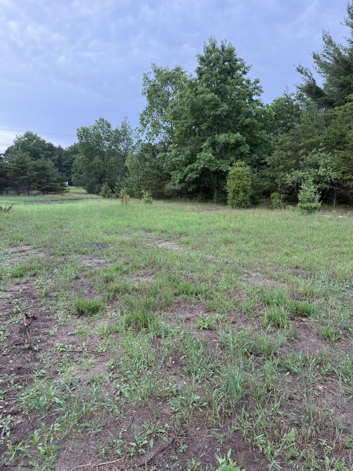 Property Photo: Sadie Ln MI 49614