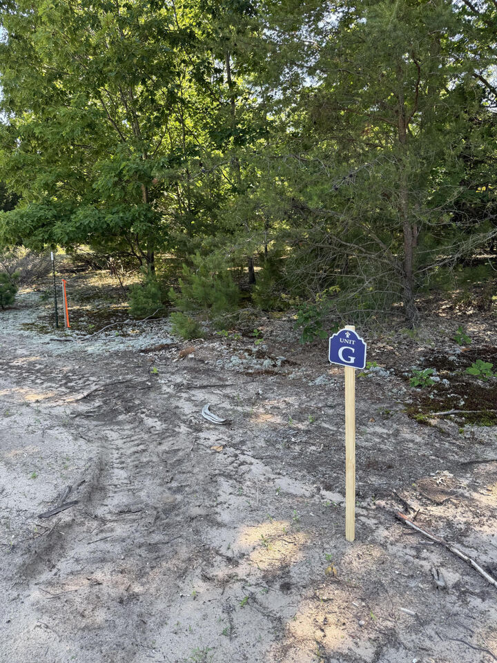 Property Photo:  Sadie Ln  MI 49614 