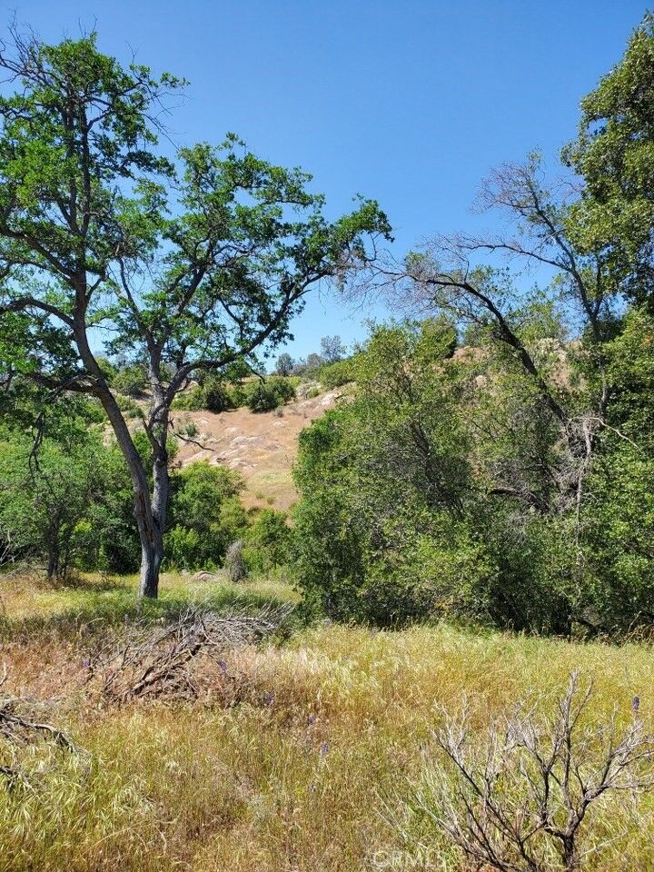 Property Photo: 0 Lot 1952 Ranger Circle Drive CA 93614