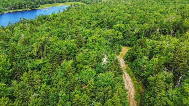 Property Photo:  Lot 29 Boutilier Branch Road  NS B0W 1Y0 