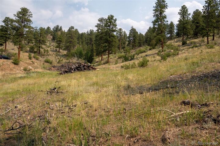 Property Photo:  13990 Pine Valley Road  CO 80470 