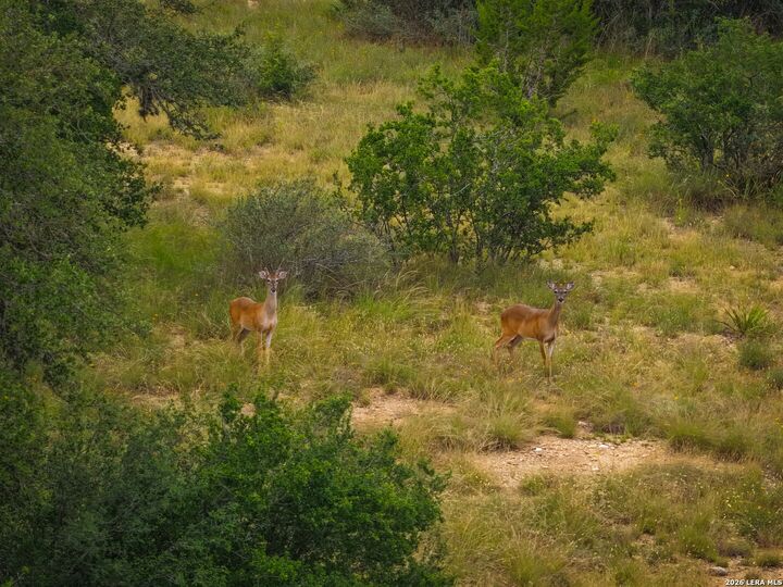 Property Photo:  30 Acres +/- Peaceful Valley Rd  TX 78003 