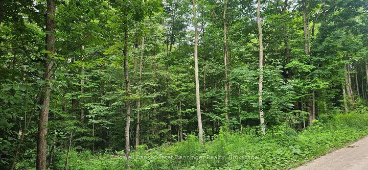 Property Photo: Lot 6 Concession 12 Ndr Bentinck N/A ON N0G 1S0