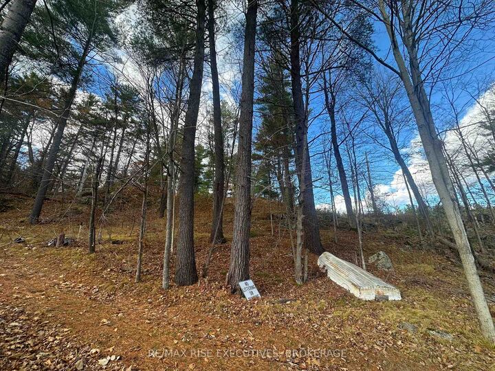 1457 Opeongo Road — photo 1