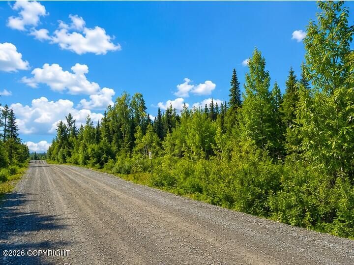 Property Photo: L5 Lake Road AK 99669