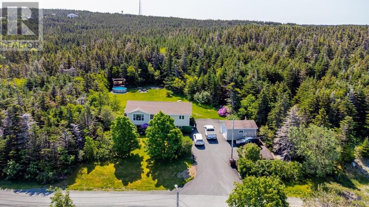 Property Photo:  51 Birch Hill Road  NL A0A 3L0 