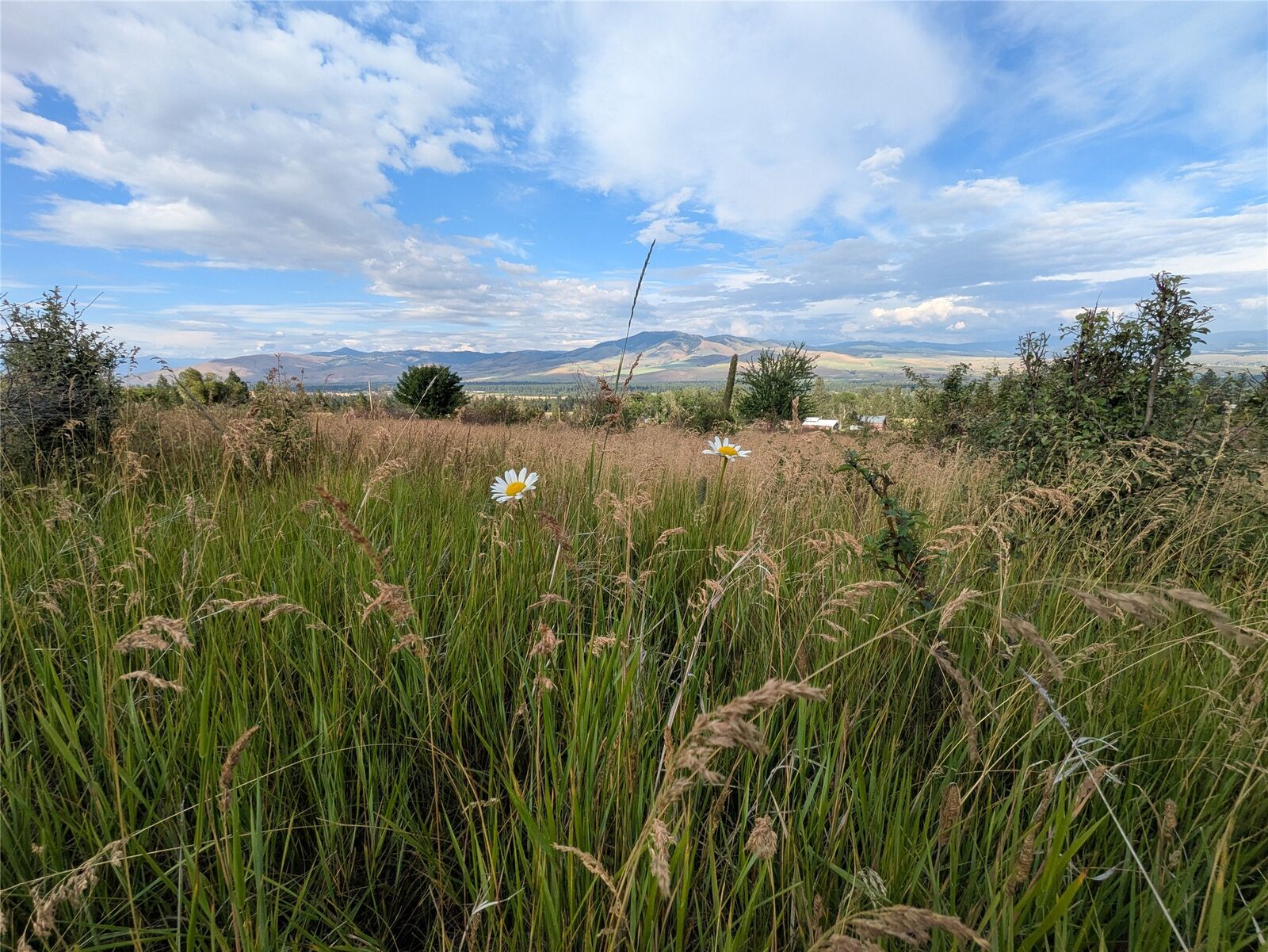 Property Photo: Nhn W Carlton Creek Road MT 59833