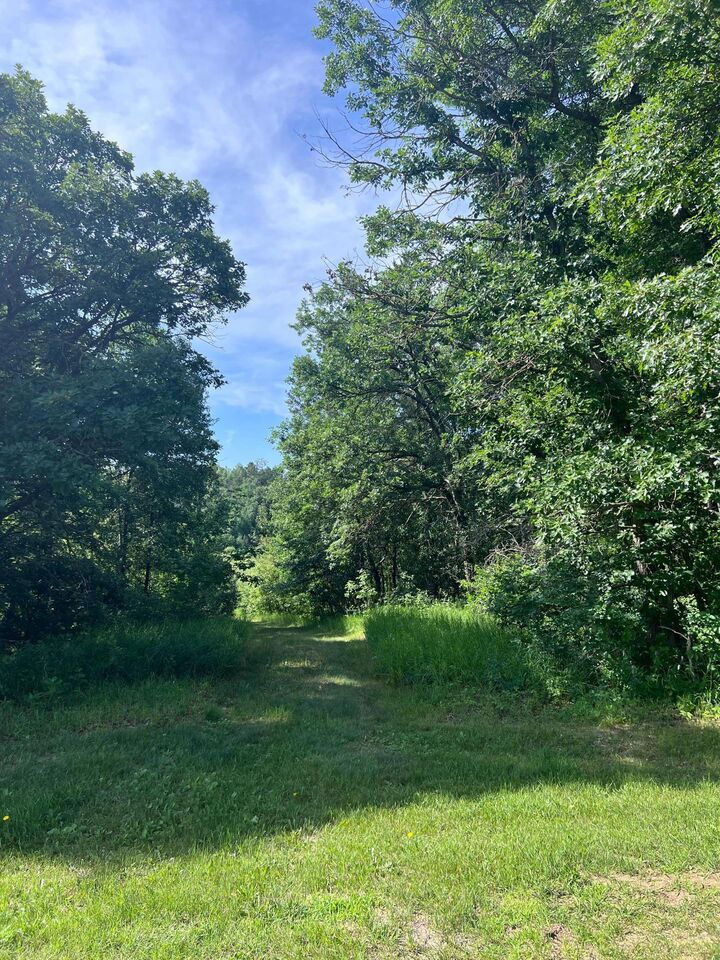 Property Photo: Tbd Main Street E MN 56464