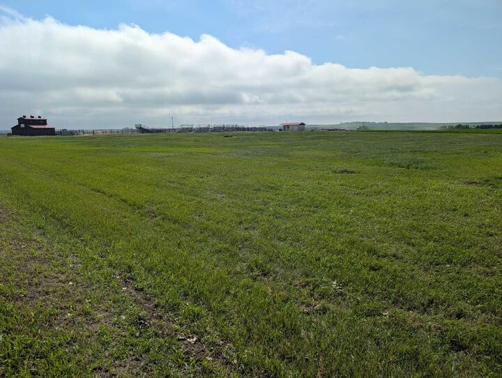 Property Photo:  237 North  AB T0M 2C0 