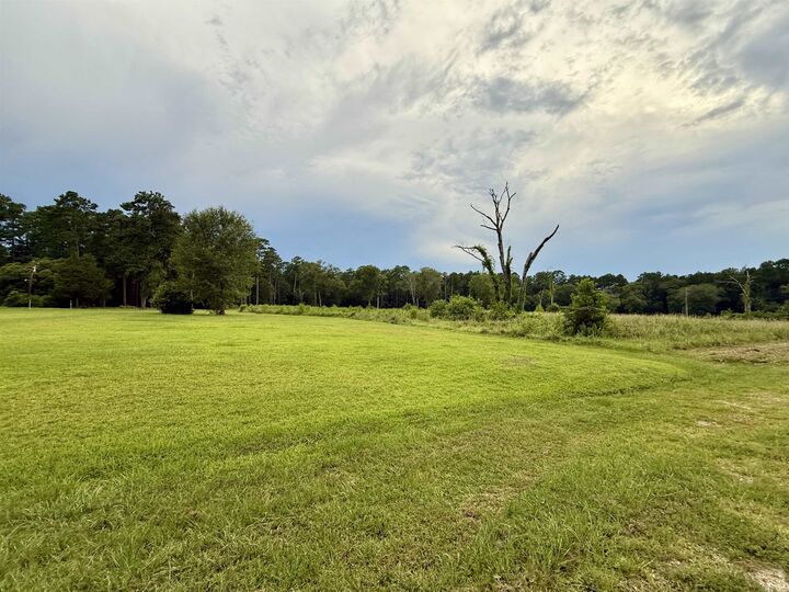 Property Photo: 11553 Fm 2937 TX 77657