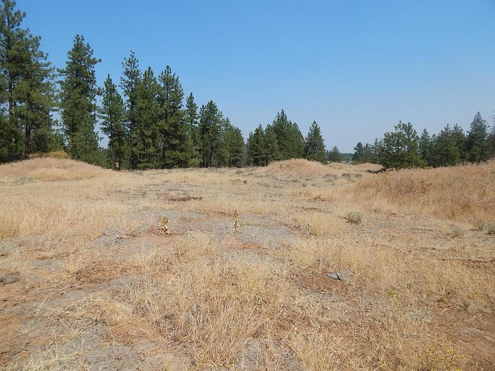 Property Photo: 249014 W Kitt Rd WA 99029